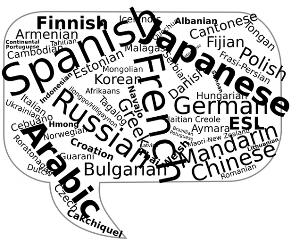 multilingual_Multilingual Talk Corporate_Chat Lingual Bubble